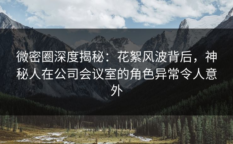 微密圈深度揭秘：花絮风波背后，神秘人在公司会议室的角色异常令人意外