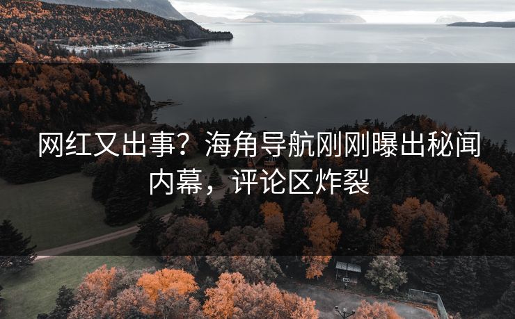 网红又出事？海角导航刚刚曝出秘闻内幕，评论区炸裂