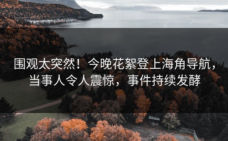 围观太突然！今晚花絮登上海角导航，当事人令人震惊，事件持续发酵