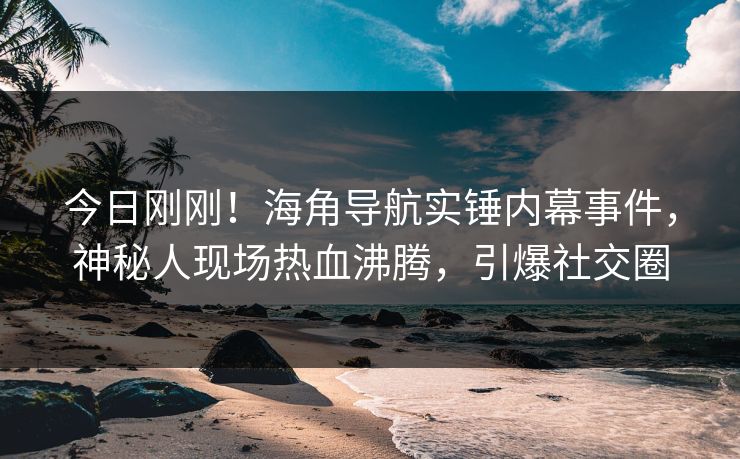 今日刚刚！海角导航实锤内幕事件，神秘人现场热血沸腾，引爆社交圈
