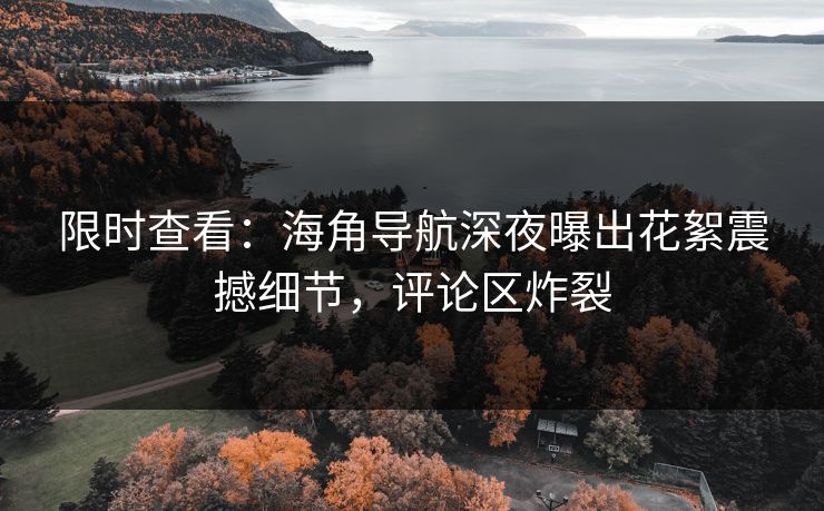 限时查看：海角导航深夜曝出花絮震撼细节，评论区炸裂